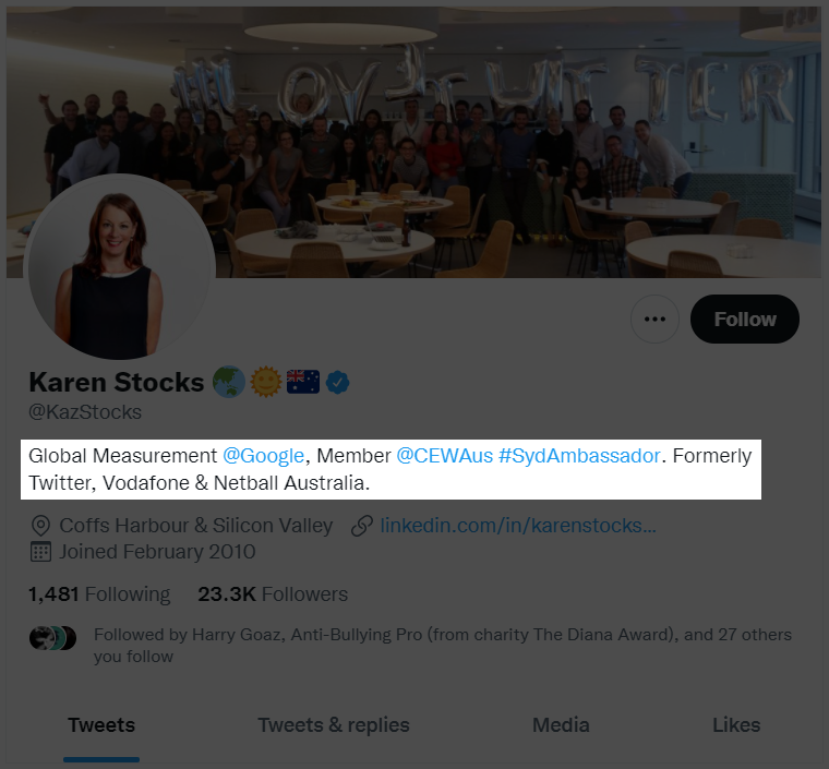 Twitter bio a.k.a description
